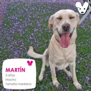 Martín
