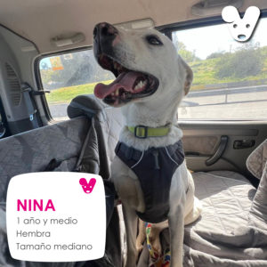 Nina
