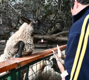 PRIMER "HUMEDAL DE BOLSILLO" ESTÁ EN LA REINA