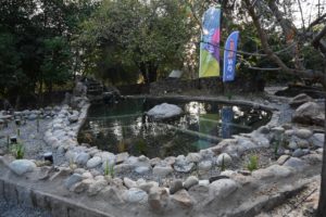 PRIMER "HUMEDAL DE BOLSILLO" ESTÁ EN LA REINA