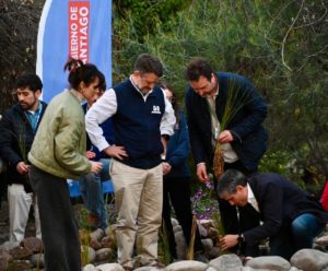 PRIMER "HUMEDAL DE BOLSILLO" ESTÁ EN LA REINA
