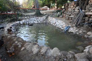 PRIMER "HUMEDAL DE BOLSILLO" ESTÁ EN LA REINA