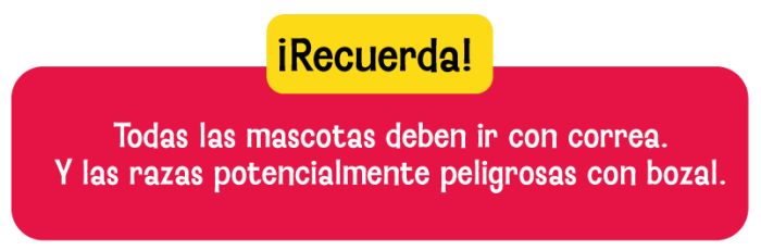 FIESTA-DE-PATITAS-recuerda