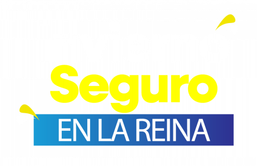 INVIERNO-SEGURO