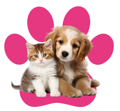 kit-de-emergencia-mascotas-img