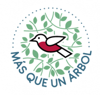 logo-masqueunarbol-2
