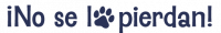 noselopierdan